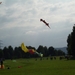 images/kemna2008001.jpg