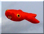 Goldfisch